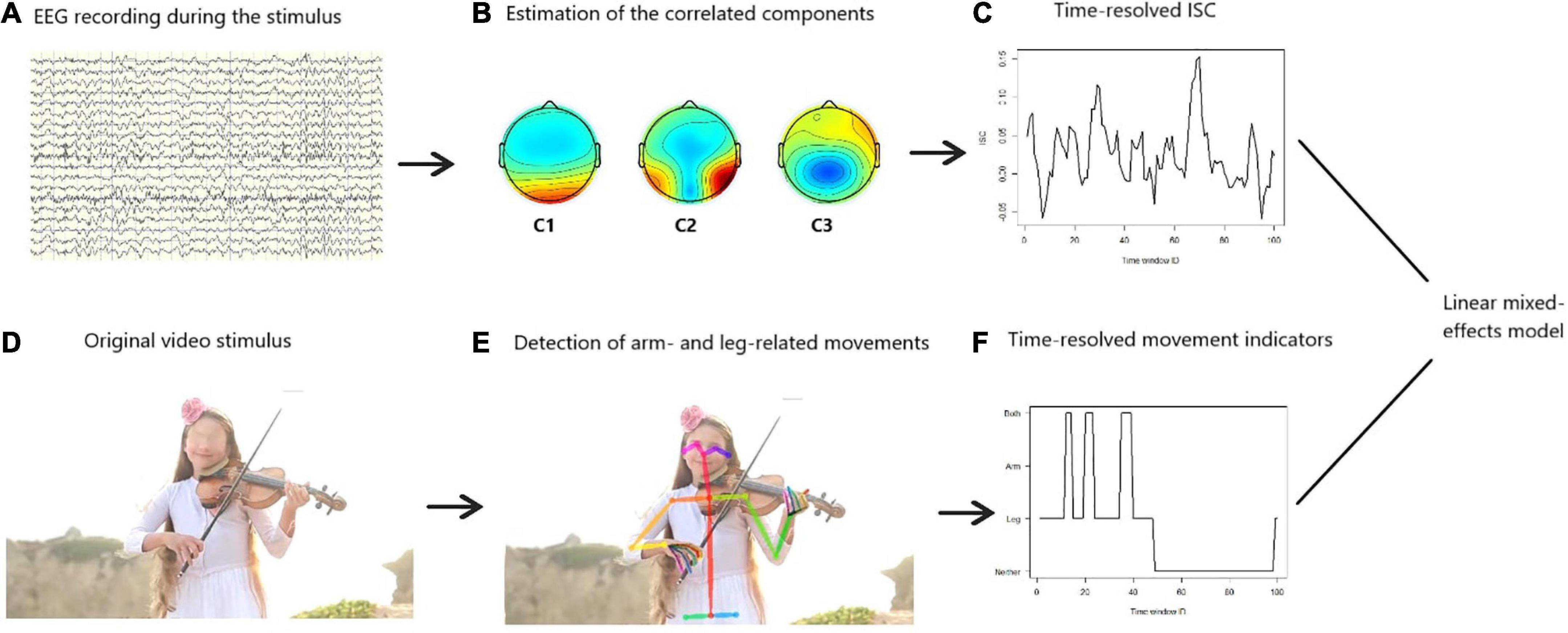 Developmental differences in the perception of naturalistic human movements